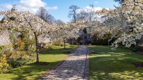 Cherry Garden, April, Greys Court, Oxfordshire